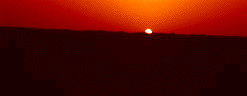 Martian Sunrise